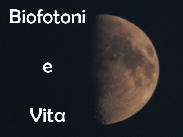 Redazione
