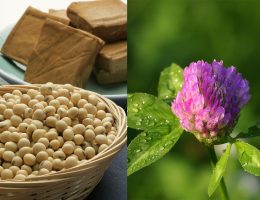 Naturopata Alessandro Di Coste