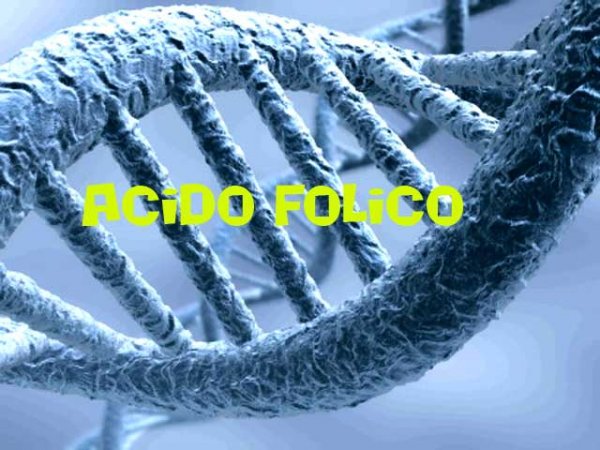 Redazione