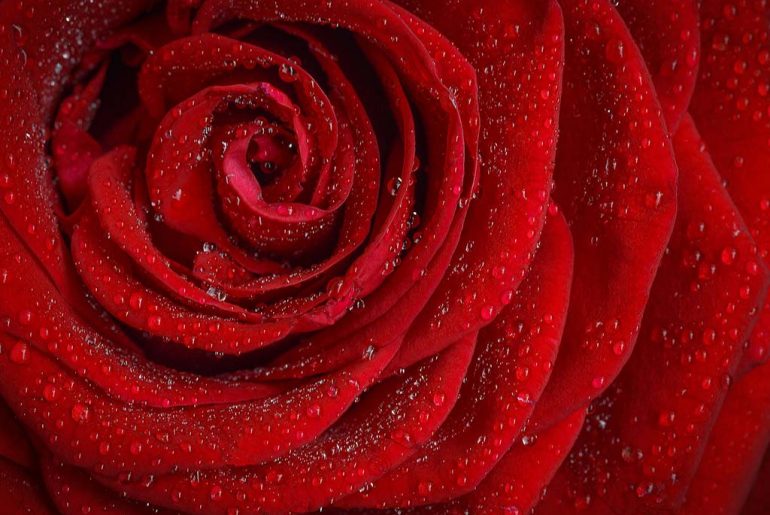 rosso
