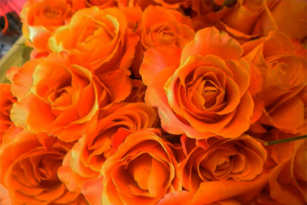 colore-arancione-cromoterapia