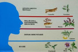 aromaterapia oli essenziali introduzione