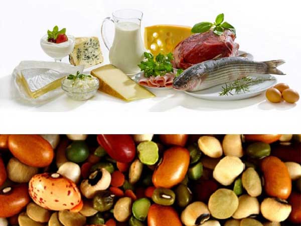 Proteine cosa sono a cosa servono quali scegliere