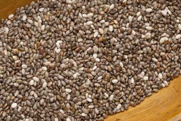 Semi di Chia superfood antiossidante ricco di impo