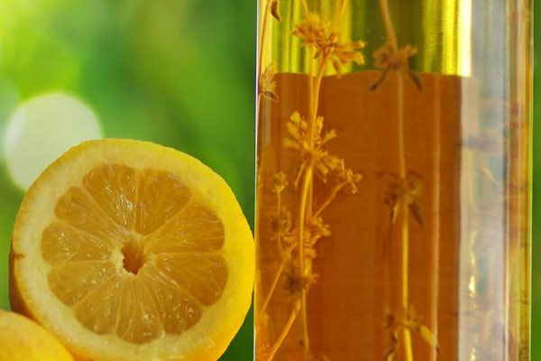 olio-limone-rimedi-nonna-capelli