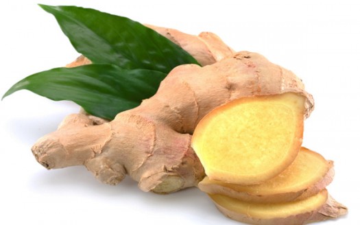 zenzero-benefici-Zingiber-officinale