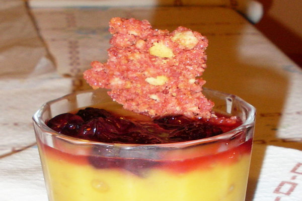 dolce-crema-mango-ricetta-vegan