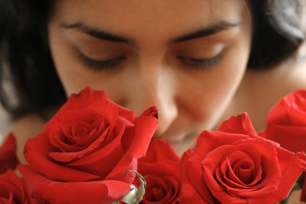 Rosa proprietà cosmetiche benefiche e rimedi
