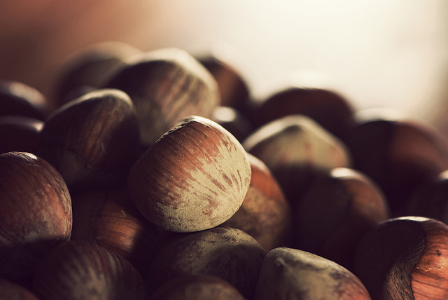 Olio_di_nocciola_proprietà_e_uso_cosmetico