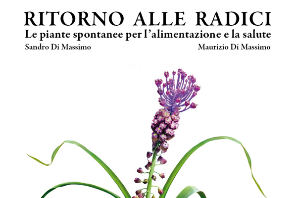 Redazione