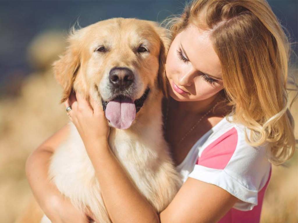 pet therapy