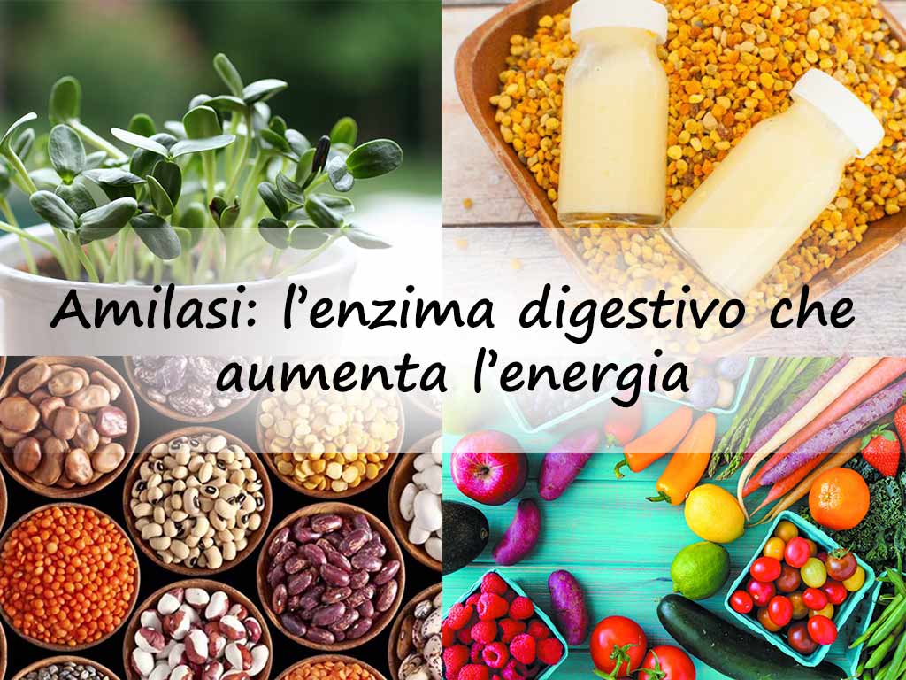 Naturopata Angela Gimelli