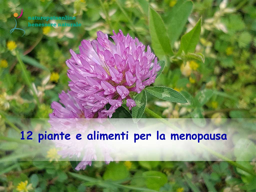 Erbe Officinali