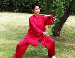 taiji-Quan