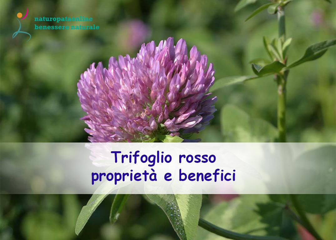 Progettazione e preoccupazione due approcci divers