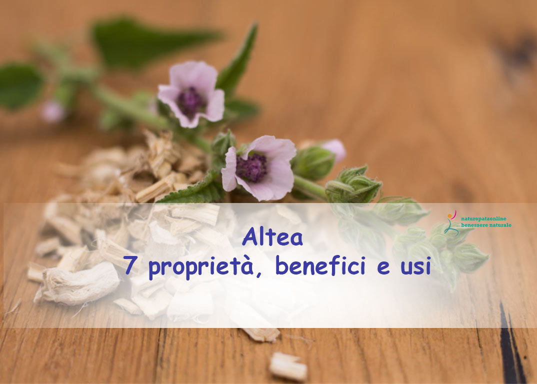 Naturopata Angela Gimelli