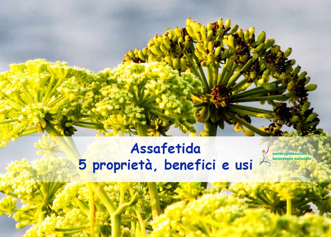 Naturopata Angela Gimelli