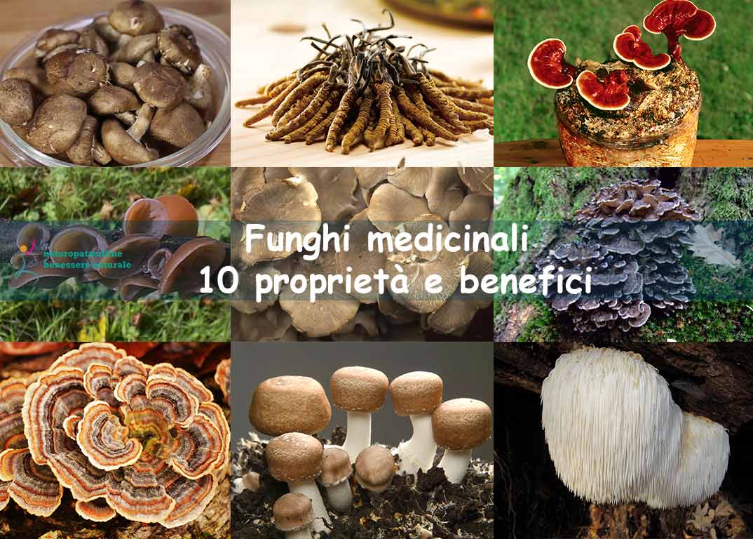 Naturopata Angela Gimelli