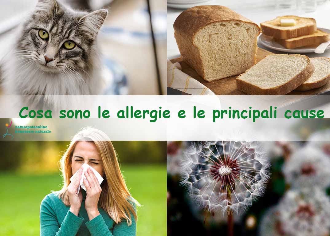 Naturopata Angela Gimelli