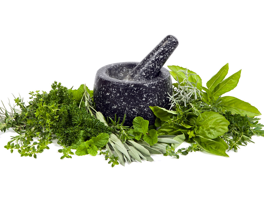 Naturopata Angela Gimelli