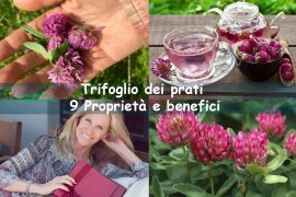 Naturopata Angela Gimelli