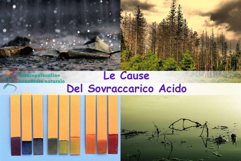 Le cause del sovraccarico acido
