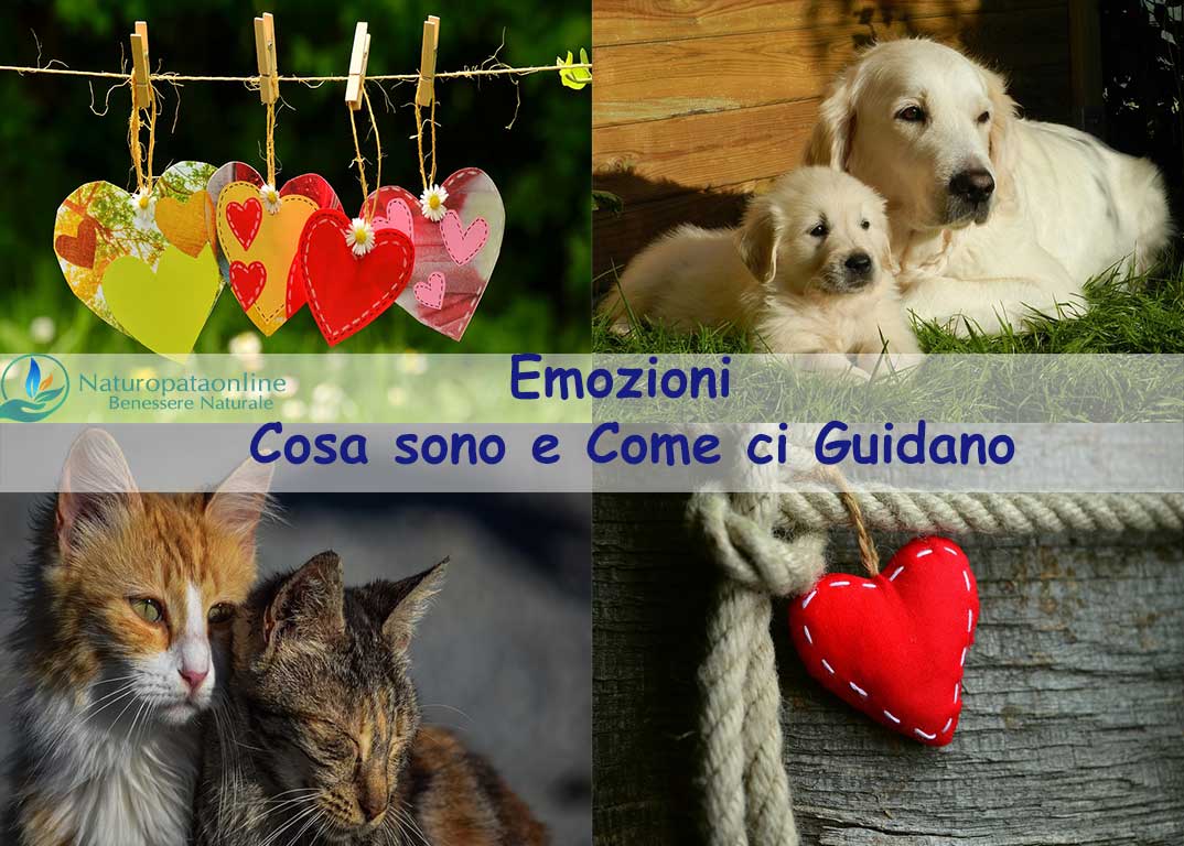 Emozioni