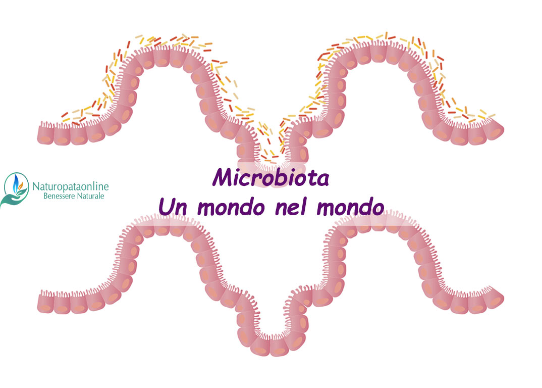 Naturopata Anna Valeria Sabatini