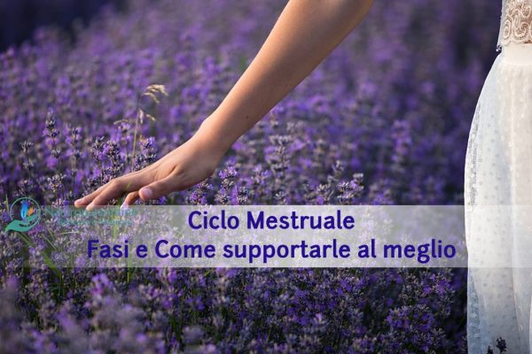 ciclo mestruale