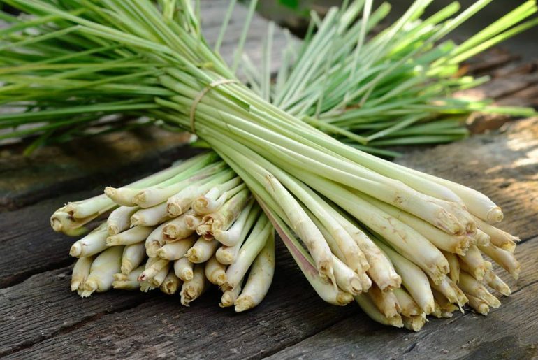 Naturopata Anna Valeria Sabatini