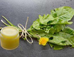 Naturopata Alessandro Di Coste