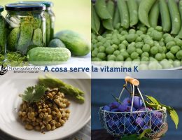 vitamina-k