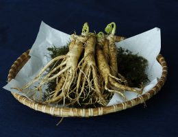 Naturopata Alessandro Di Coste