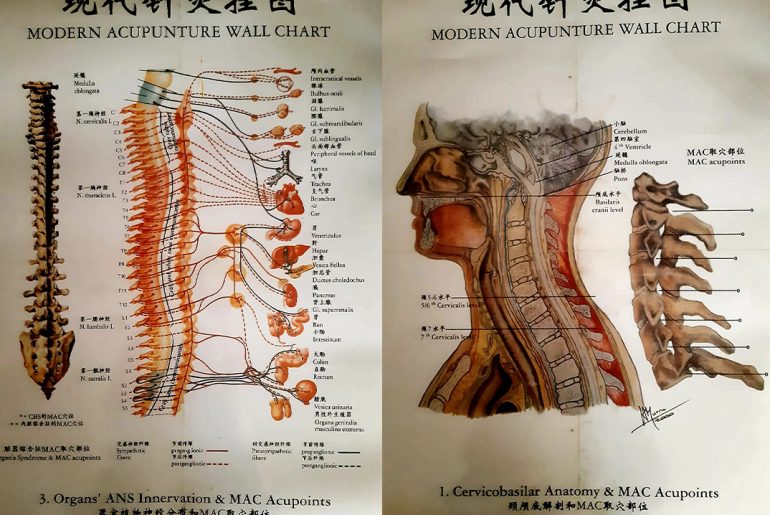 medicina-tradizionale-cinese