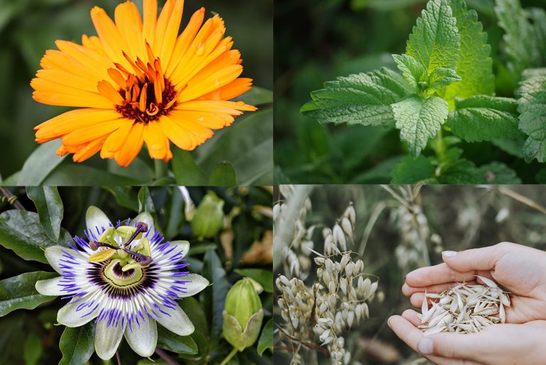 Naturopata Pinuccia Ceriani