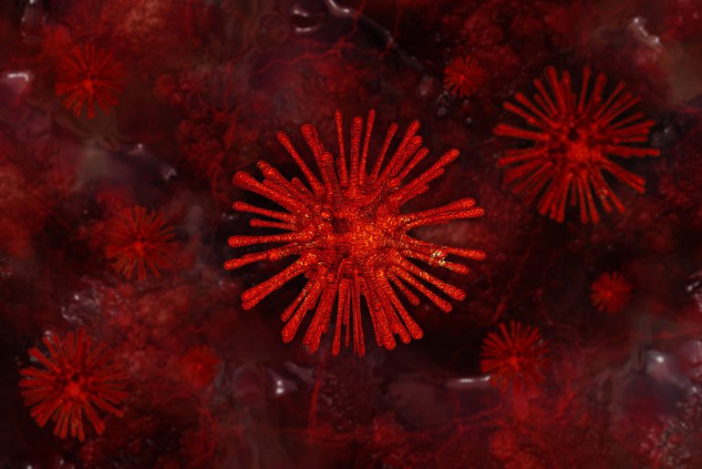 virus