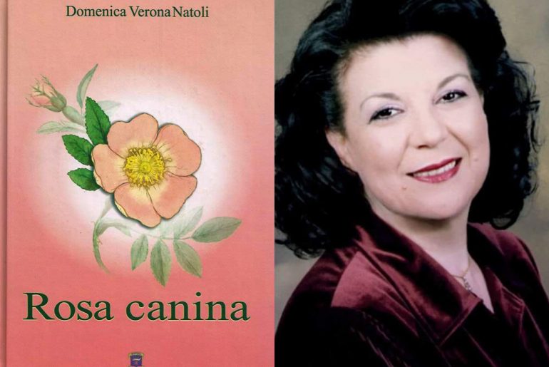 Domenica Verona Natoli Rosa canina la recensione