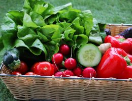 Naturopata Alessandro Di Coste