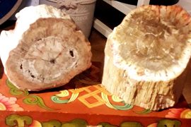 legno-fossile