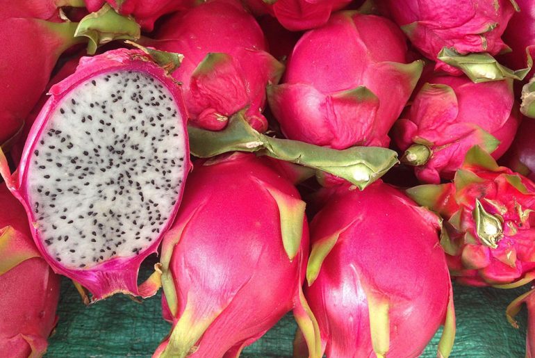 Pitaya-frutto-del-drago