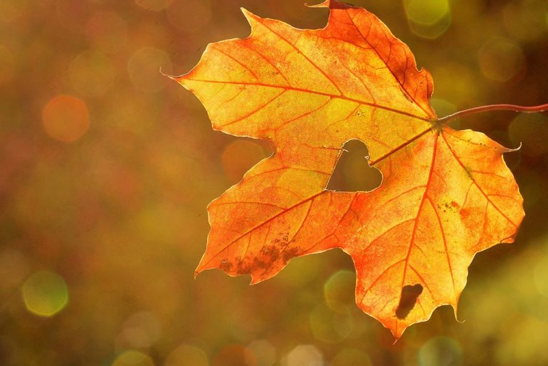 LAutunno come stagione dellAnima