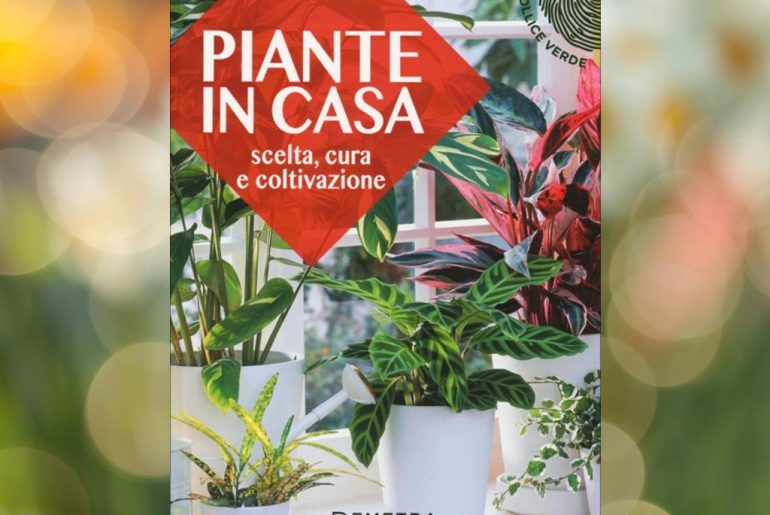 Piante-in-casa-scelta,-cura-e-coltivazione-di-Eliana-Ferioli
