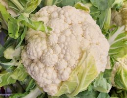cavolfiore