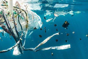 plastic-free